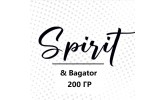 Табак Spirit Bagator 200 гр