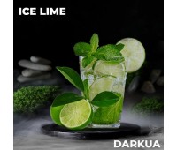 Тютюн DARKUA Ice Lime (Лайм Лід М'ята) 100 гр