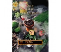 Табак для кальяна Element Earth Feijoa (Фейхоа, 100 г)