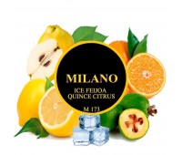 Табак Milano Ice Feijoa Quince Citrus M173 (Фейхоа Айва Цитрус Лед) 100 гр