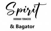 Табак Spirit Bagator 40 гр